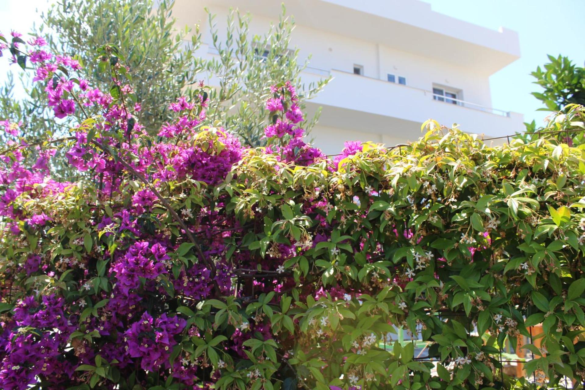 Seli'S Villa كساميل المظهر الخارجي الصورة